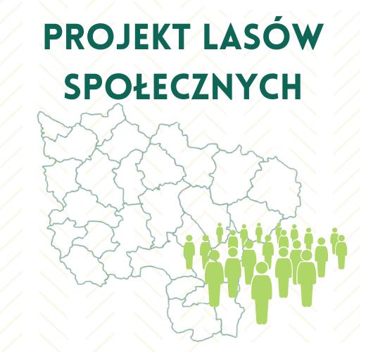 Kafel do strony projektu lasów społecznych