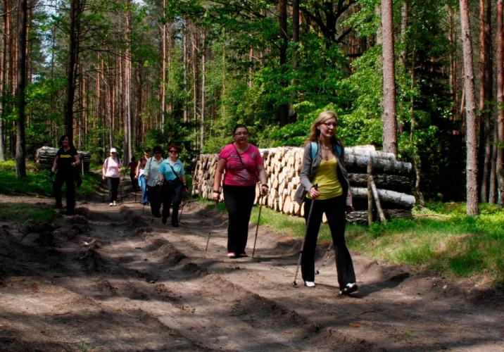 fot. Wojciech Mędrzak