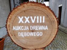 Podsumowanie XXVIII Międzynarodowej Aukcji Cennego Drewna Dębowego