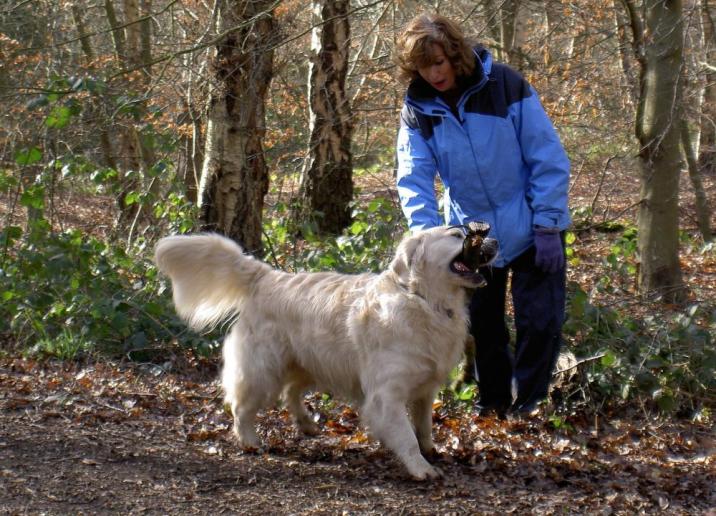 źródło: pixabay.com