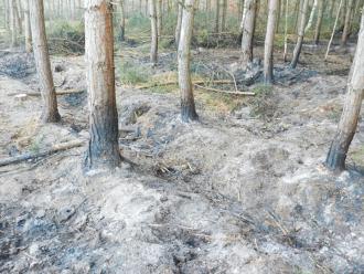 Dostrzegalnia przeciwpożarowa