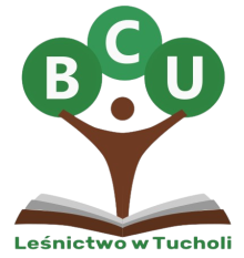 Oferta szkoleń w Branżowym Centrum Umiejętności w Tucholi