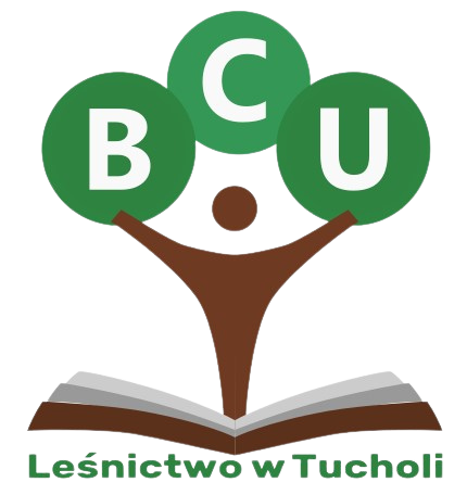 Logotyp Branżowego Centrum Umiejętności