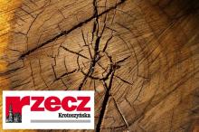 Wrześniowy numer Rzeczy o Naszych Lasach