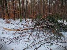 Uwaga na uszkodzenia od śniegu