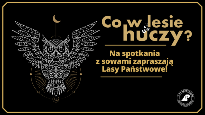 Grafika prezentująca logo akcji Co w lesie huczy, sylwetkę sowy na czarnym tle. Źródło LP