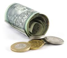 Sprzedaż drewna, choinek i sadzonek